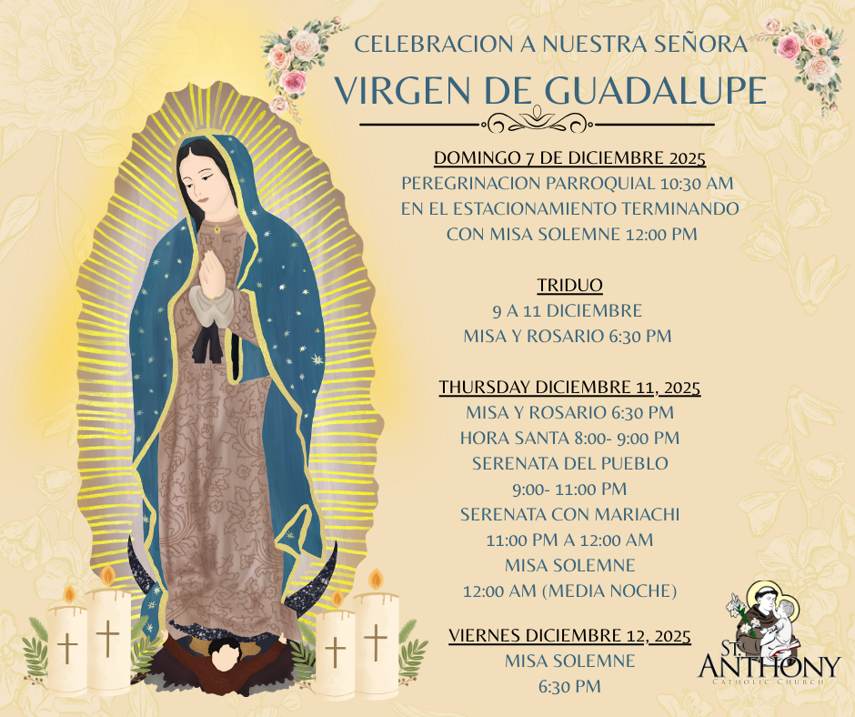 Amarillo Azul Y Marron Ilustrado Virgen De Guadalupe Post Para Facebook