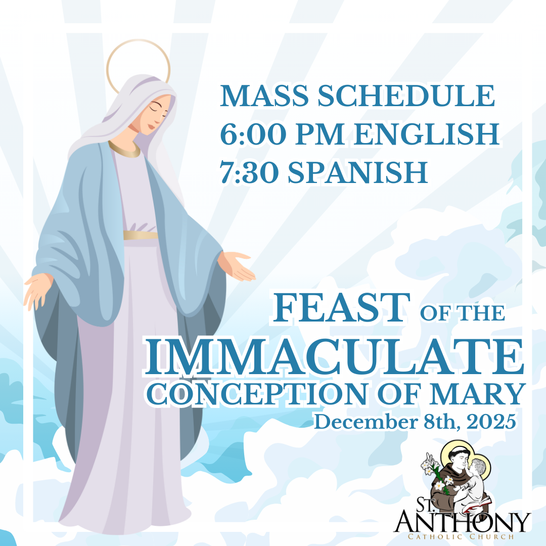 Blue And White Illustrated Feast Of The Immaculate Conception Instagram Post