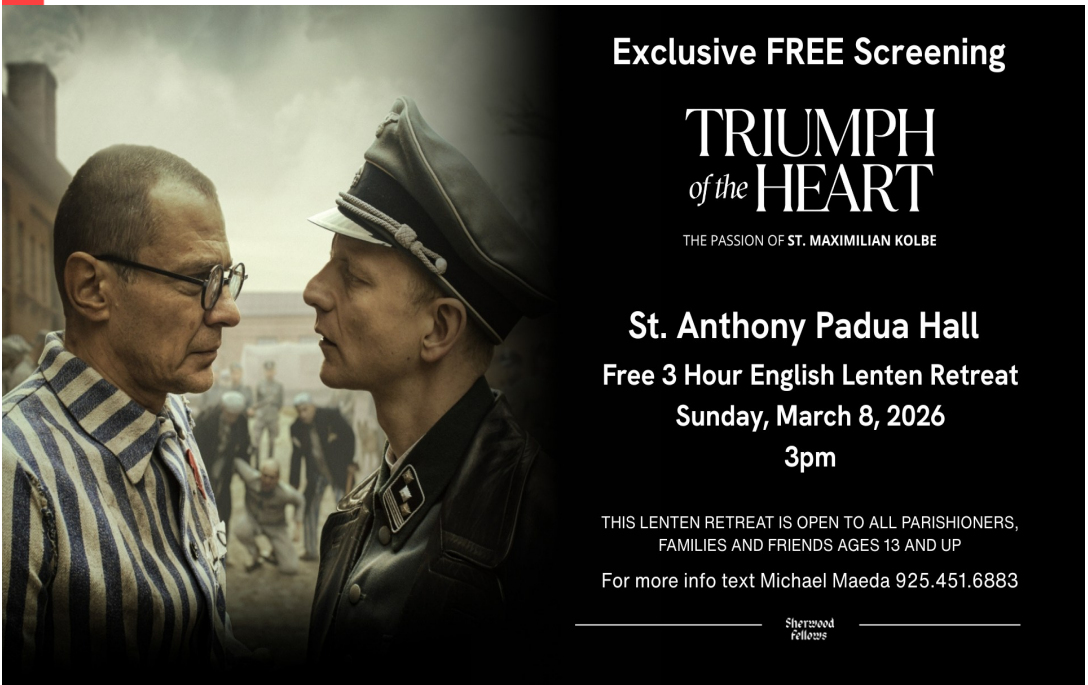 Screenshot 2026 02 25 131240