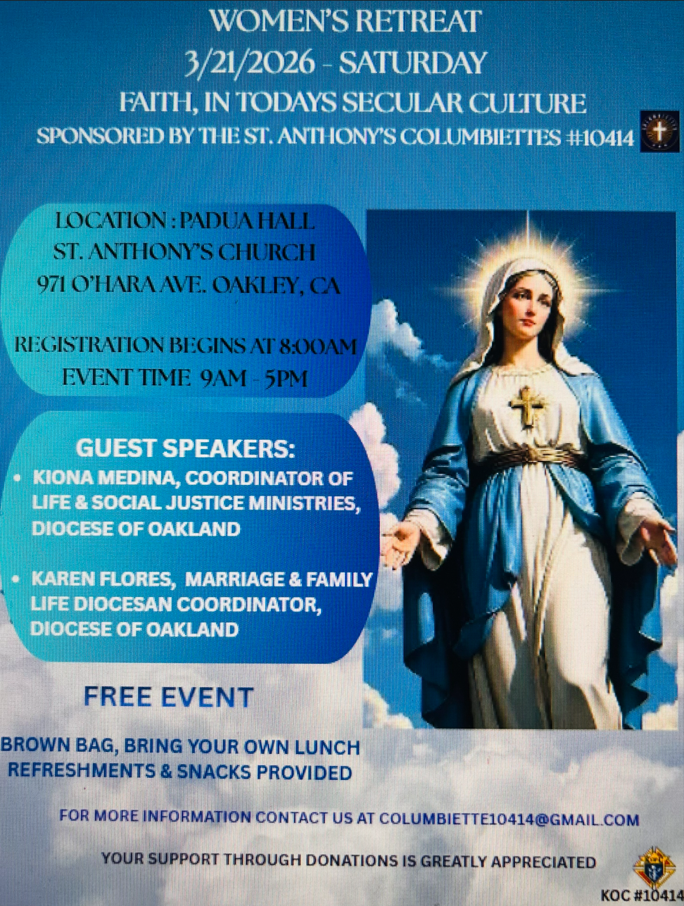 Screenshot 2026 02 25 134904