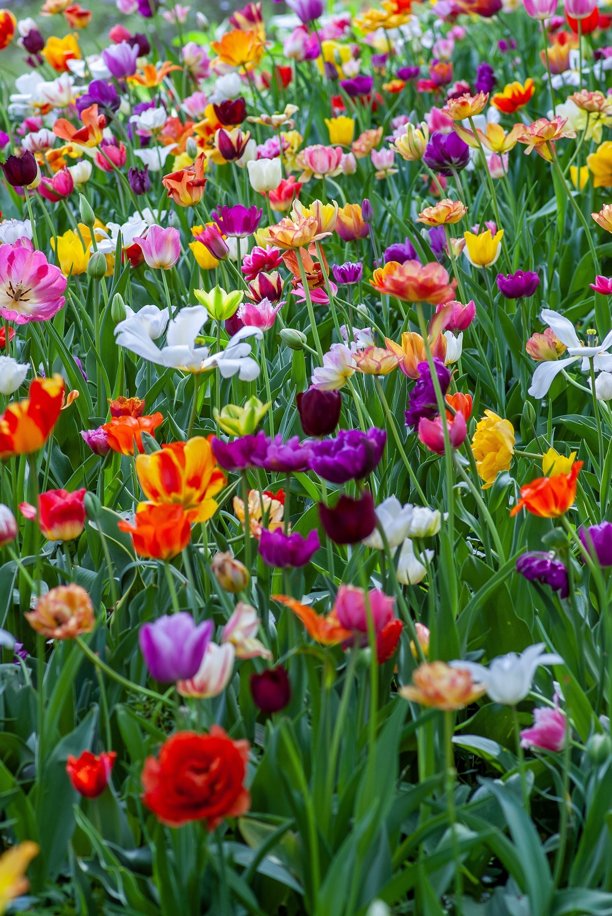 Spring Boutique by Columbiettes - May 1st, 2021